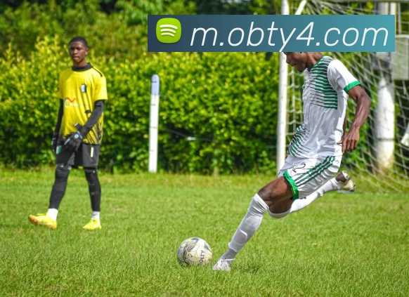 ob欧宝官网平台生态图